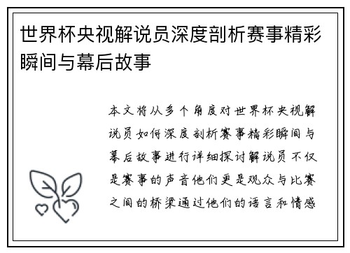 世界杯央视解说员深度剖析赛事精彩瞬间与幕后故事